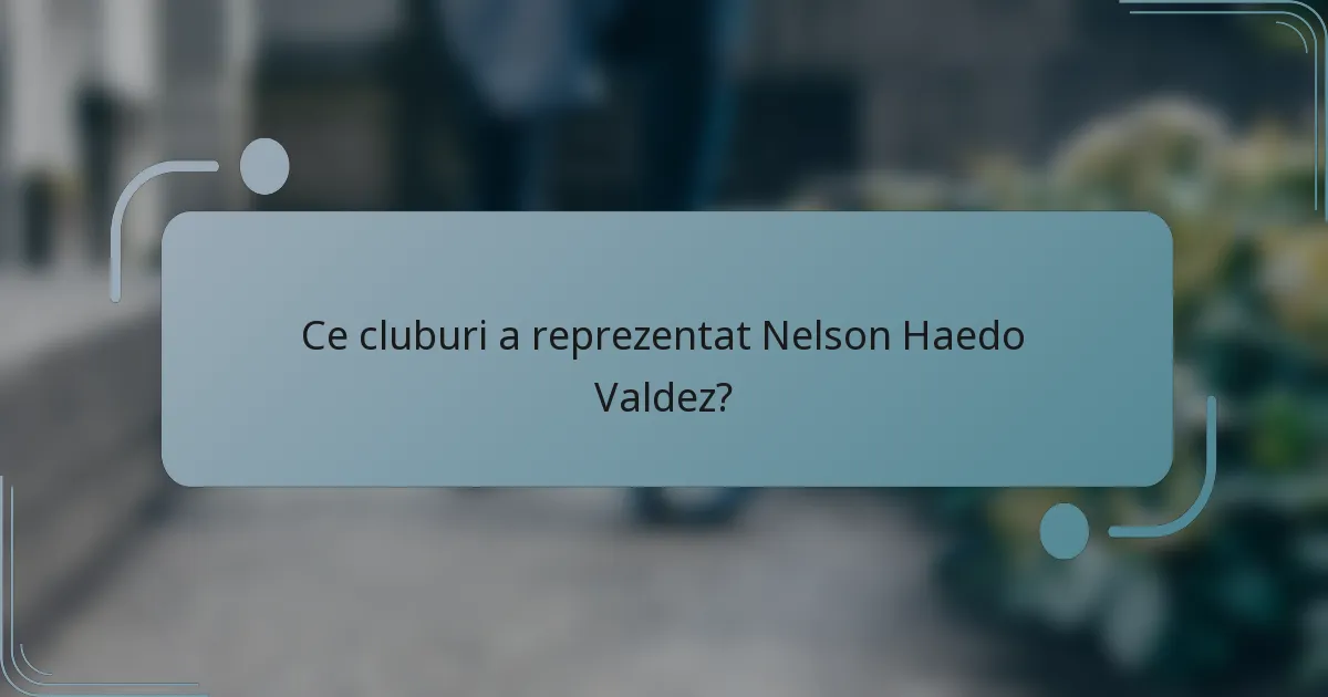 Ce cluburi a reprezentat Nelson Haedo Valdez?