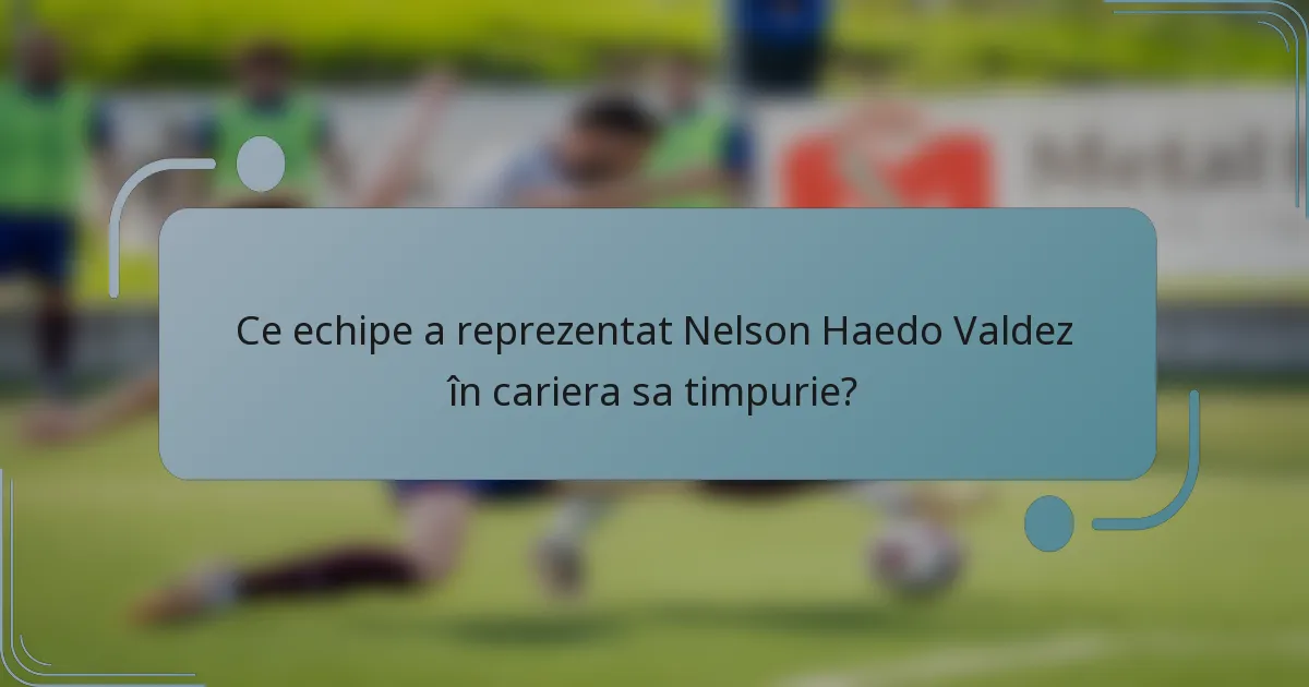 Ce echipe a reprezentat Nelson Haedo Valdez în cariera sa timpurie?