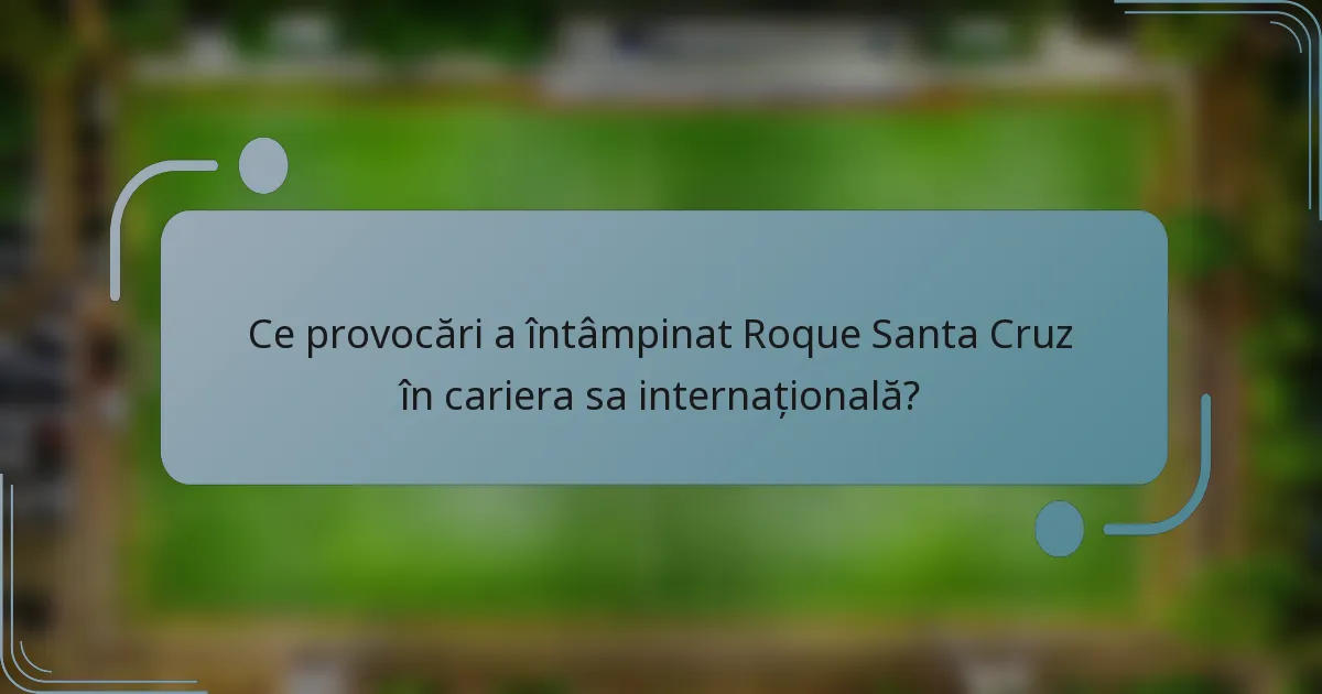 Ce provocări a întâmpinat Roque Santa Cruz în cariera sa internațională?