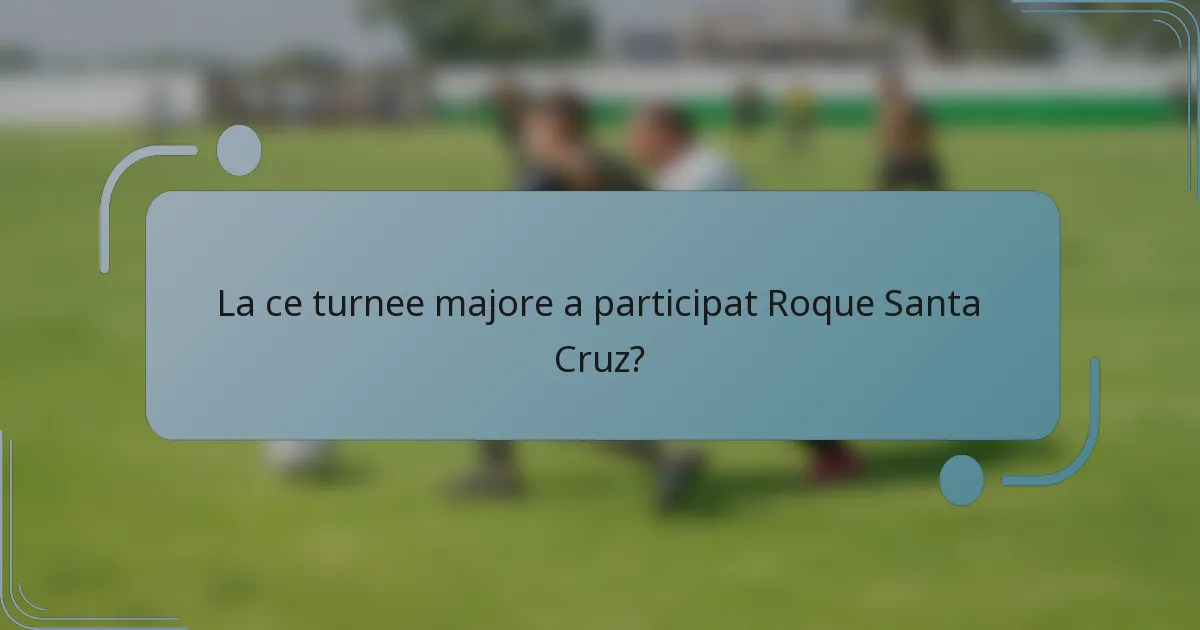 La ce turnee majore a participat Roque Santa Cruz?
